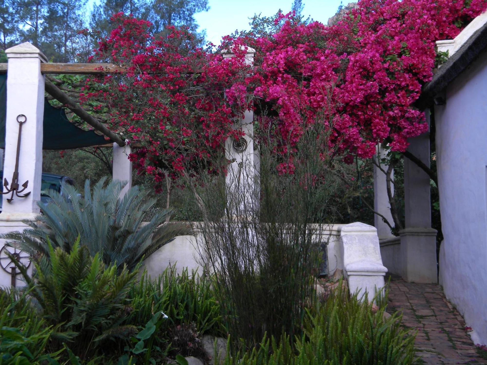 Klein Boschkloof Villa Clanwilliam Luaran gambar